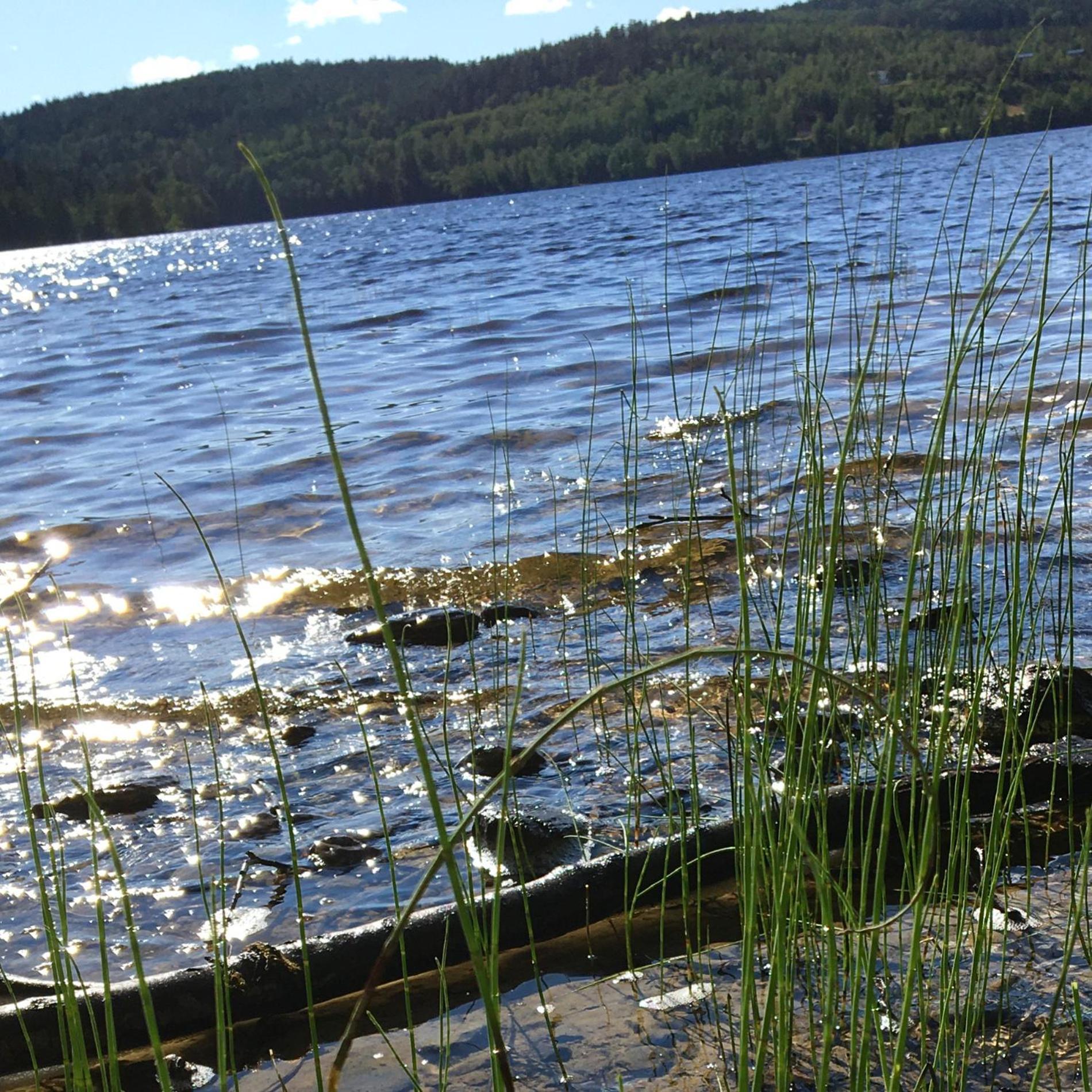 Henneviken Bnb Ed 외부 사진